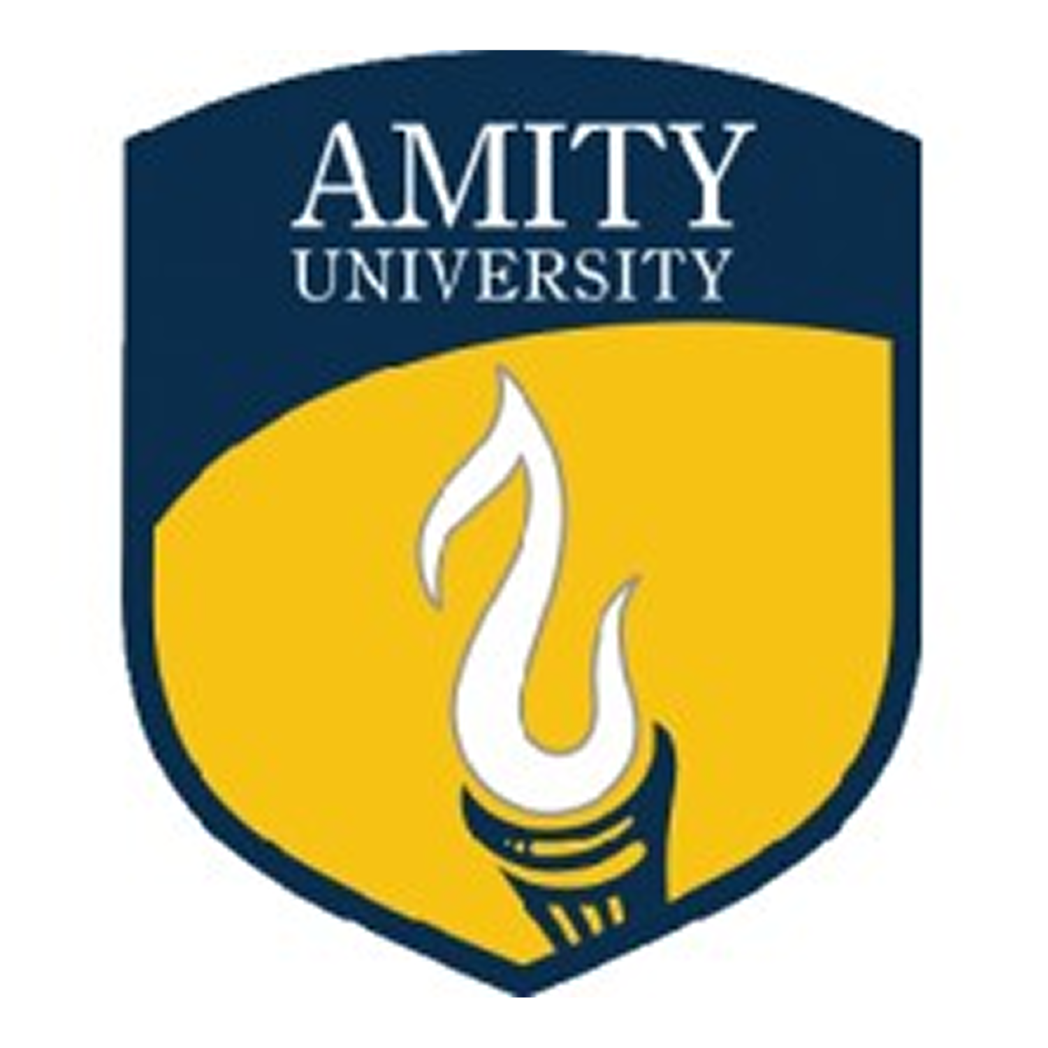 B.Tech in Computer Science and Engineering at Amity School of Engineering and Technology, Noida, Delhi/NCR