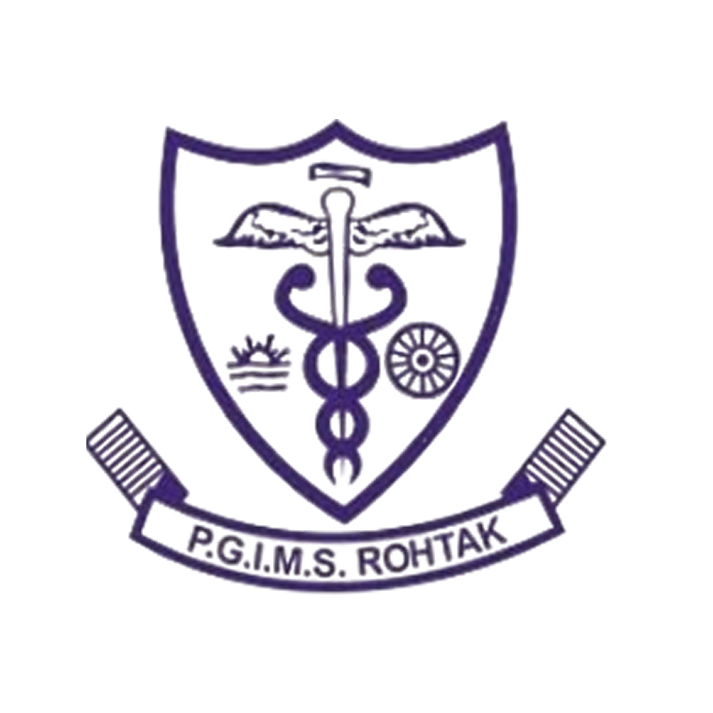 B.Sc in Nursing at Pt. Bhagwat Dayal Sharma Post Graduate Institute of Medical Sciences, Delhi/NCR