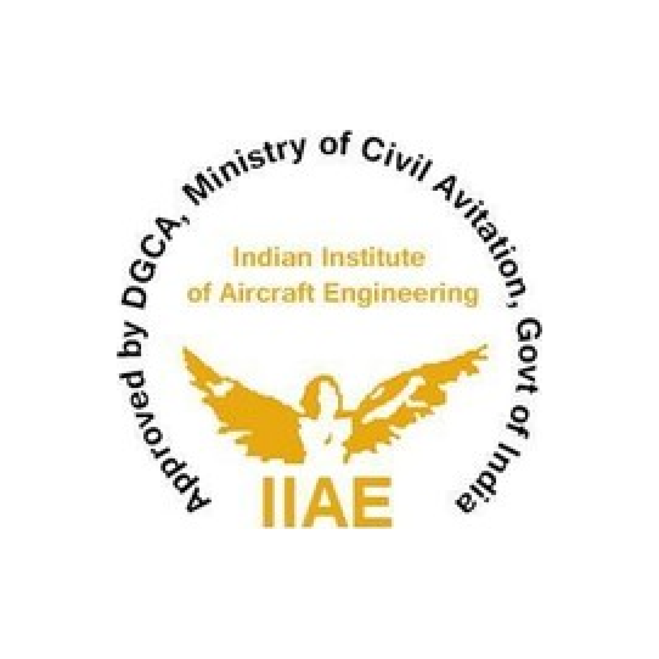 Aircraft Maintenance Engineering at Indian Institute of Aircraft Engineering, Haryana - Other