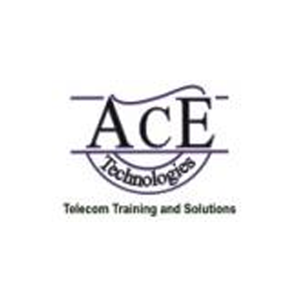 Binary Runtime Environment for Wireless Brew at ACE Technologies, Noida
